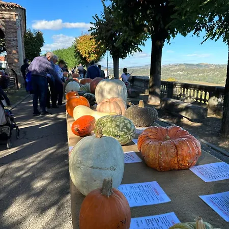 La Tana Di Appartamento